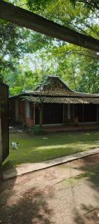 pLataRan houSe - Jarakan - 7