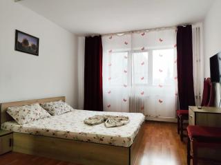 Hotel Orizont Suceava - Suceava - 8