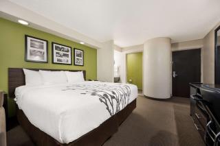 Sleep Inn Athens I-65 - Athens - 9