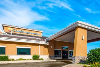 Comfort Inn & Suites - North East - 9