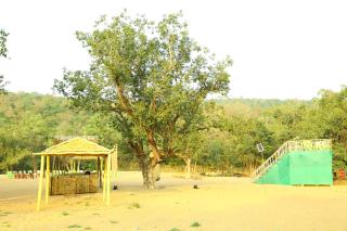 Black Berry Wilderness Camp - Nārlapur - 6