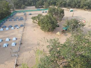 Black Berry Wilderness Camp - 3