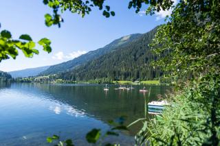 Hotel Alte Post - Feld am See - 4