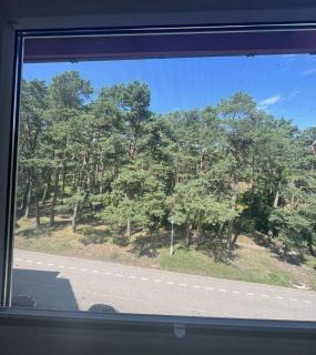 Apartamentai Švyturio g 3 Nidos centre - Neringa - 2