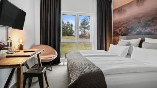 Alpine Hotel - 8