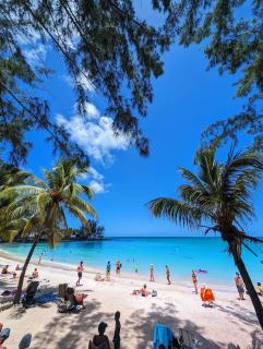 BEACH APARTMENT PEREYBERE - Pereybere - 8