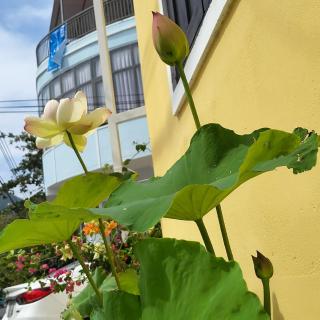 LV Homestay - 1