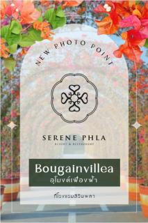 Serene Phla Resort and Restaurant - Rayong - 3