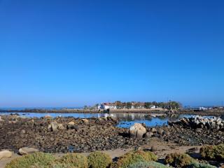 Abalone Guesthouse - Jacobs Bay - 4