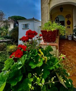 Valentino - Capri - 3