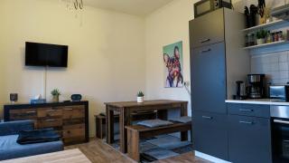 Gemütliches Altbauapartment I - Chemnitz - 0