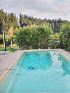 Haus Lucky - Rosenau am Hengstpass - 4