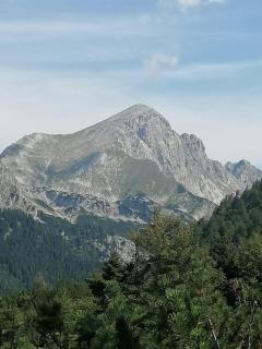 Haus Lucky - Rosenau am Hengstpass - 2