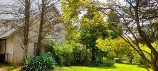 The Dutch House - Dullstroom - 7