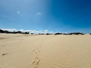 MojMir Beach Apartment - Malindi - 6