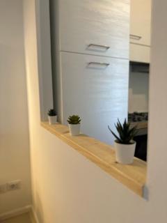 Brorent-Casa Corallo - Olbia - 2