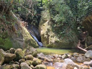 Sítio Pajuçara - Chalé 2 - Dentro do Parque Nacional da Serra dos Órgãos - Acesso a cachoeiras dentro da propriedade - Guapimirim - 7