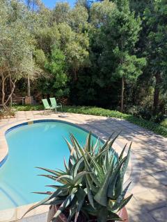 Pecan Tree Studio 2 with Forest View - Stellenbosch - 9