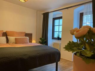 Apartment Suite am Dom - 6