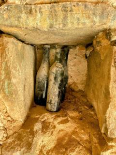 Mas des Pelissiers Gîte - 1