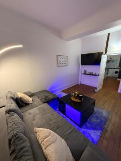 Charmant Appartement au centre-ville - Auxerre - 7