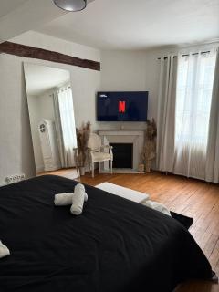 Charmant Appartement au centre-ville - Auxerre - 9