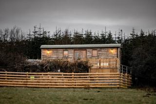 Gower Fresh Shepherds Hut - Penclawdd - 0