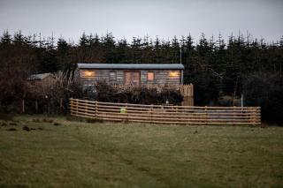 Gower Fresh Shepherds Hut - Penclawdd - 7