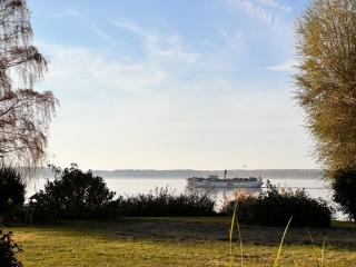 Seeidyll an der Müritz - Waren - 1