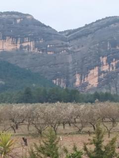 Mas de Manresa - Horta de Sant Joan - 3