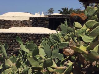 Dammuso Regina di Grazia - Pantelleria - 6
