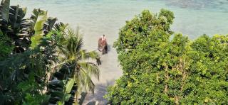 The viva patong condo C602 - Patong Beach - 8