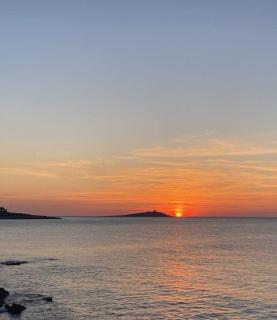 La rosa dei venti - Isola delle Femmine - 8