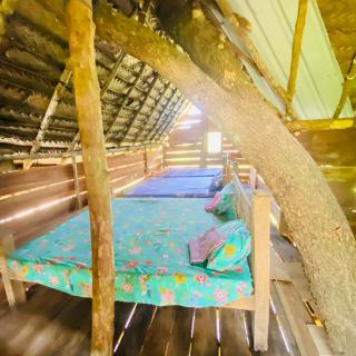 Habarana Tree House Area - 7