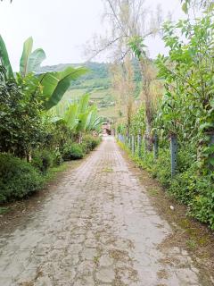 Casa de Campo El Cabañal - San José De Minas - Quito - 4