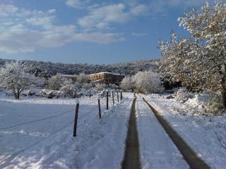 La Locaia - Siena - 5