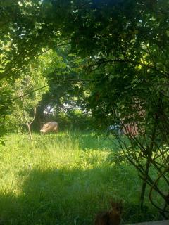 Bistro VILLAGE HOUSE - Crkvina - 6
