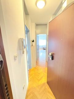 Franko's Cozy Apartment with garage - 7