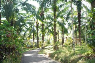 Bunma Homestay - Ban Khlong Sok - 8