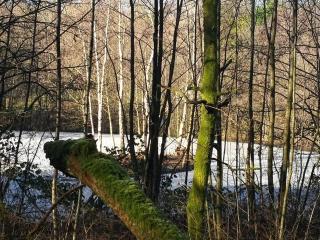 Gîte entièrement rénové - vue plaine de jeux - 3