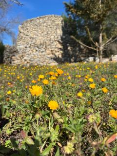 Crumisi - turismo rurale salento - 6