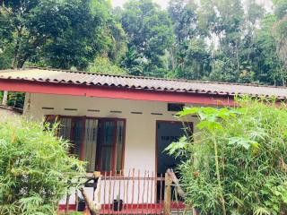 Sinharaja Pitadeniya Villa - Deniyaya - 0