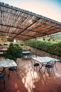 Tenuta Lupinari - Bucine - 4