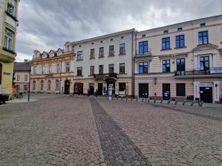 Klimatyczny Apartament w centrum Starego Miasta - Tarnów - 9