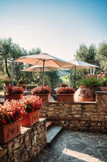 Tenuta Lupinari - Bucine - 2