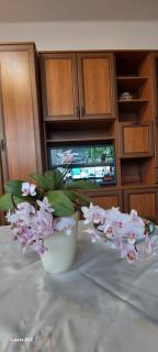 Summer Kardos Apartman - 8