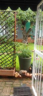 Sun Garden Cottage - 2