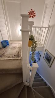 Flower - Colchester - 6
