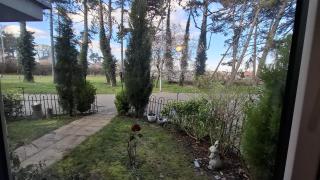 Flower - Colchester - 2