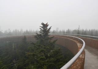 Relaxing Condo on the River - NEW Air Hockey Table - Pigeon Forge - 8